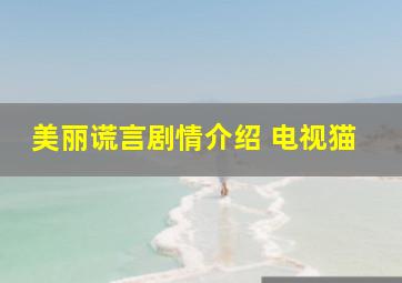 美丽谎言剧情介绍 电视猫